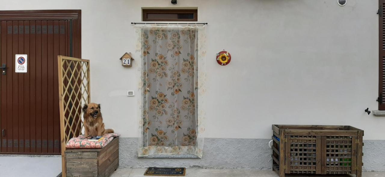 Appartamento Un letto nel cortile Bereguardo Esterno foto